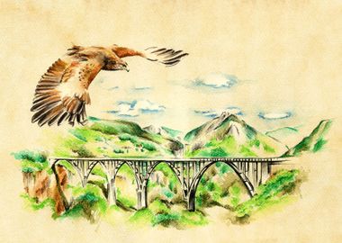 Eagle above the Bridge