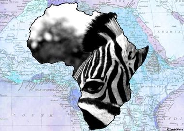 African Zebra