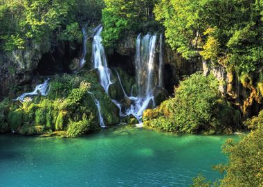 Forest Waterfall