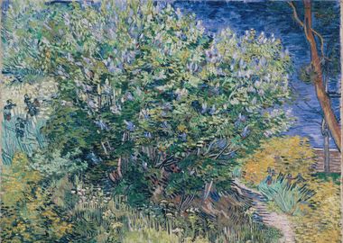 Lilac Bush 1889