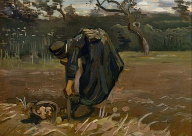 Peasant Woman Digging Up P