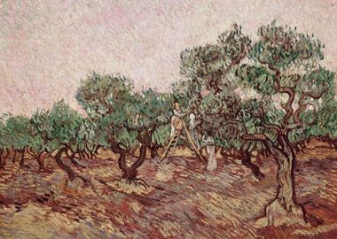 Olive Picking 1889 03