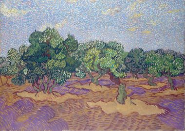 Olive Grove 1889 03