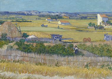 Harvest Landscape with Blu