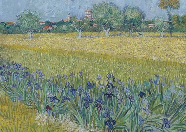 View of Arles with Irises