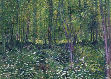 Trees and Undergrowth 188