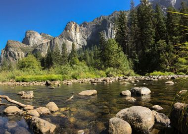 Yosemite park USA 2