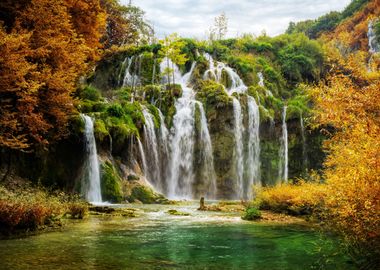 Forest Waterfall