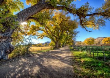 Beautiful Nature Landscape