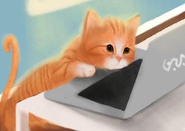 Cat play at the computer