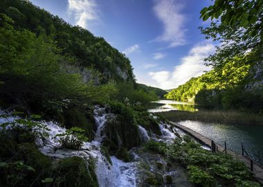 Nature Landscape