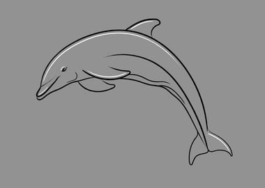 Jumping Dolphin