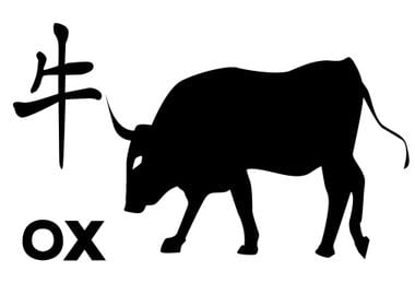 Chinese Year Of The Ox