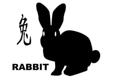 Chinese Year Of The Rabbit