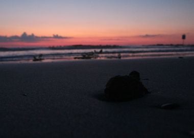 Stone on the shore