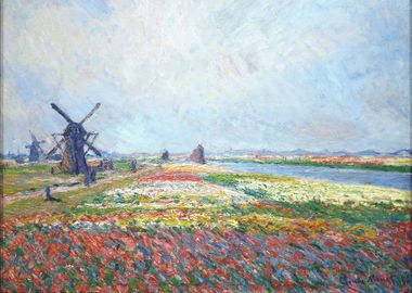 Fields of Flowers and Wind