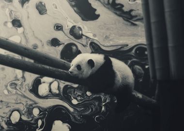 Lazy Panda Crazy Abstract