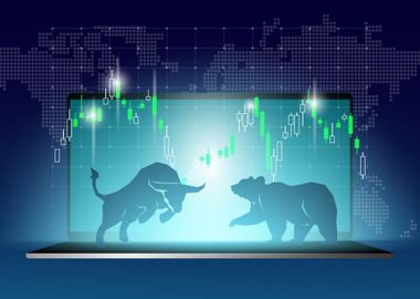 Bull and Bear Stock market