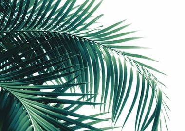 Palm Leaves Green Vibes 6