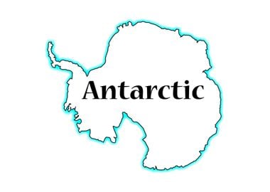 Antarctic