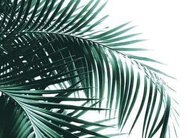 Palm Leaves Green Vibes 8