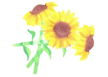 watercolor sunflower bunch