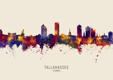 Tallahassee Skyline