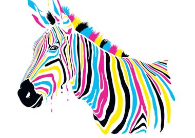 Polychrome Zebra