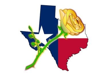 Texas Map Flag With Rose