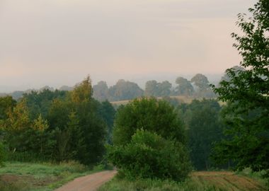 Country view