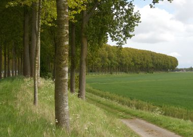 Nederlands landschap