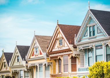 Iconic Painted Ladies