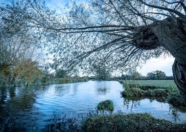 Autumn Landscape