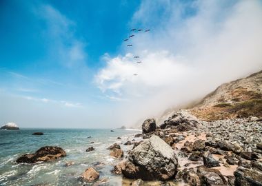 The Ocean Shoreline