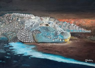 Nile Crocodile