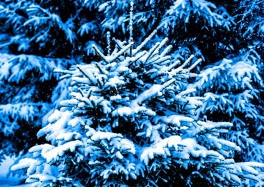 Blue Christmas Tree Snow