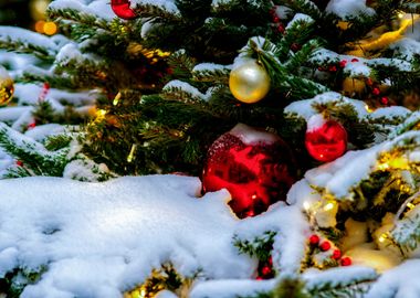 Christmas Tree In Snow