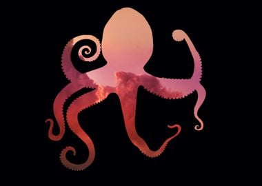 color octopus