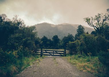 Hiking And Nature