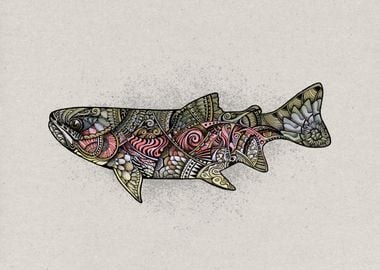 Rainbow Trout Reimagined 