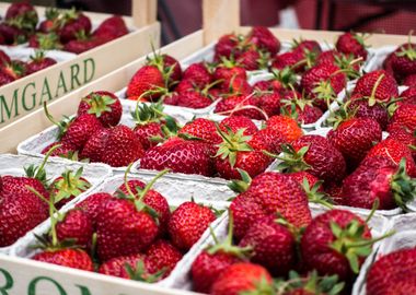 Pack Of Strawberrys