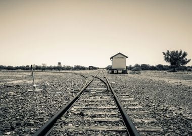 Walk Of The Lonely