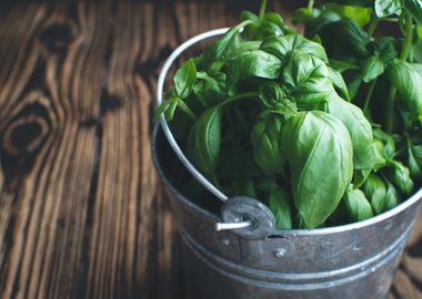 Basil On The Table