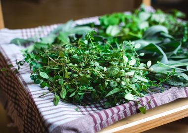 Fresh Garden Herbs