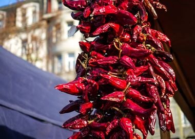 Red Chillie String