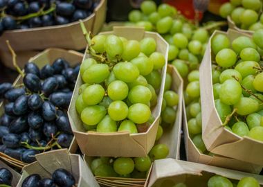 Green Fruity Grapes