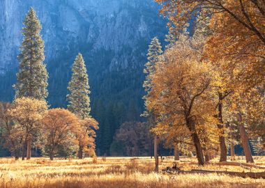 Fall at Cook Meadow