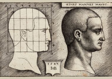 Male Head Anatomy