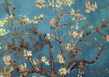  Van Gogh Almond flowersHD