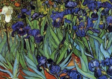  Vangogh art plants